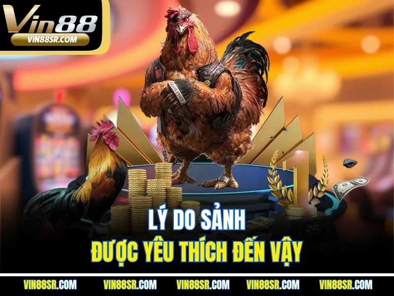 Lý do sảnh được yêu thích đến vậy