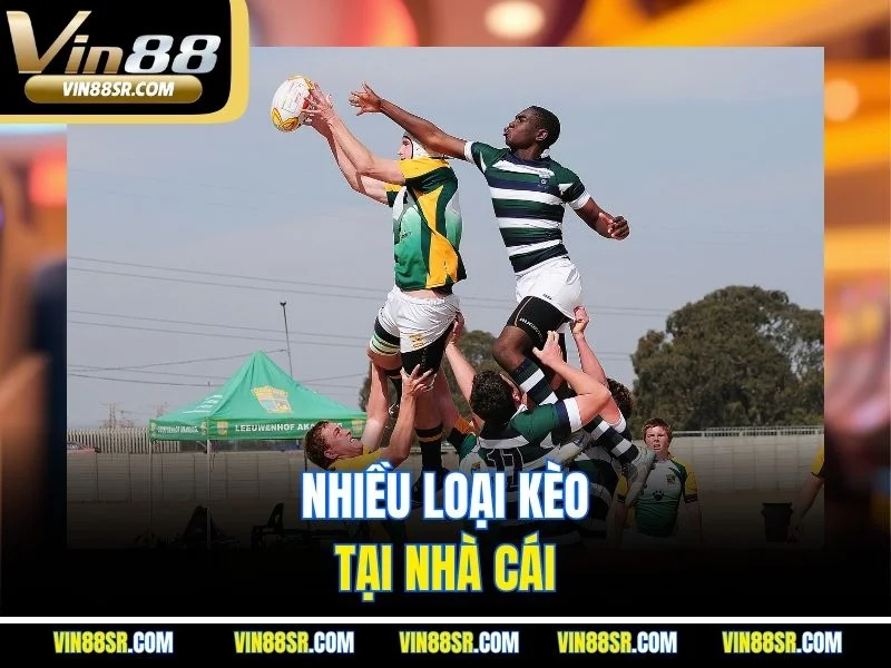 Nhiều loại kèo tại nhà cái