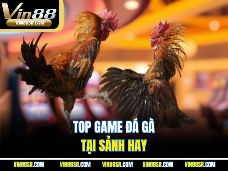 Top game đá gà tại sảnh hay